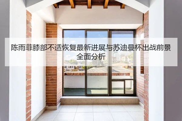 陈雨菲膝部不适恢复最新进展与苏迪曼杯出战前景全面分析